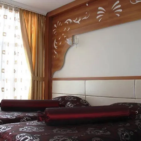 Lion Kizilay